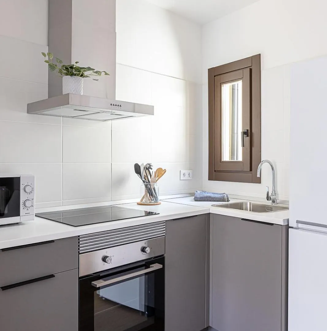 Modern 1 Bedroom Apartments Near Drassanes Barcelona