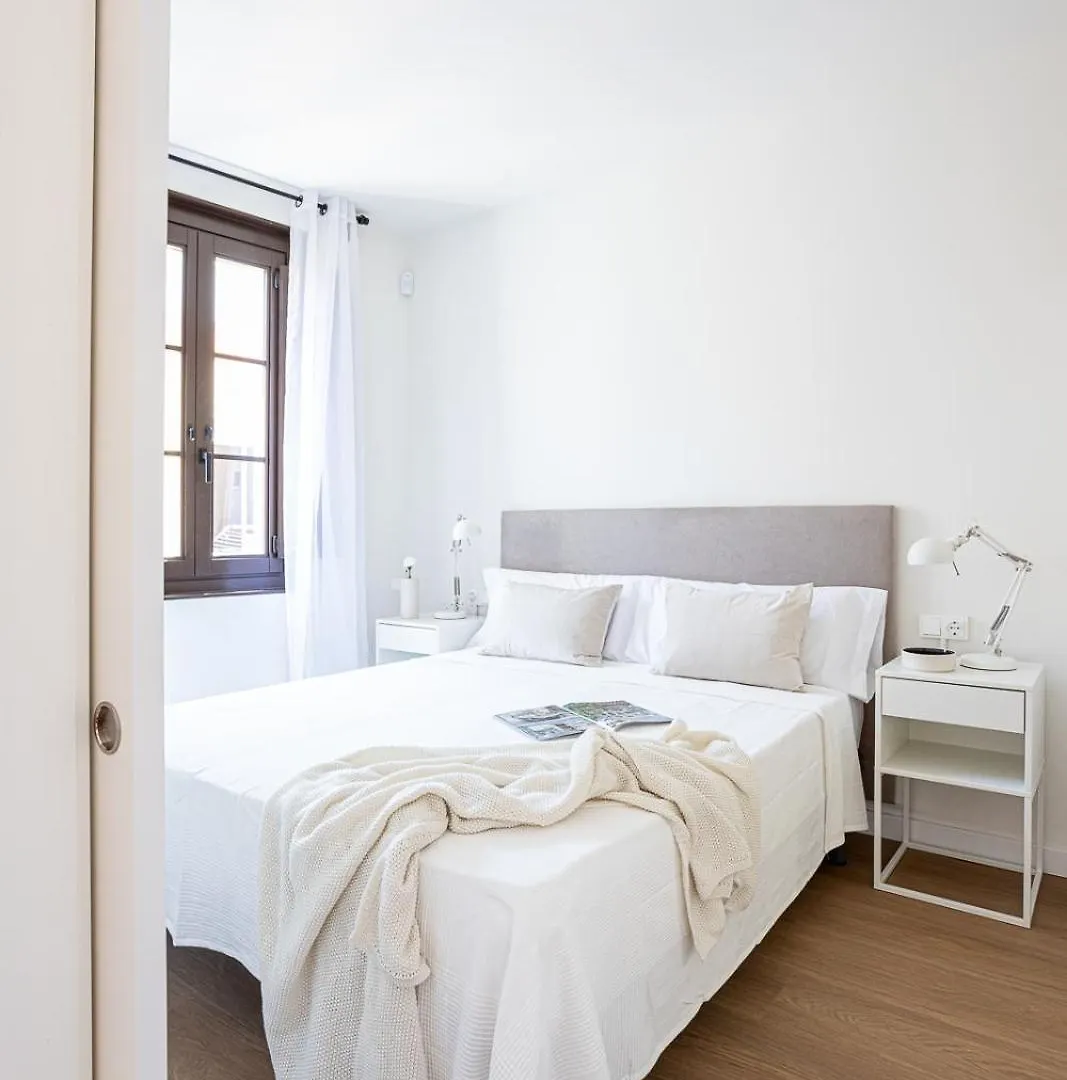 Modern 1 Bedroom Apartments Near Drassanes Barcelona